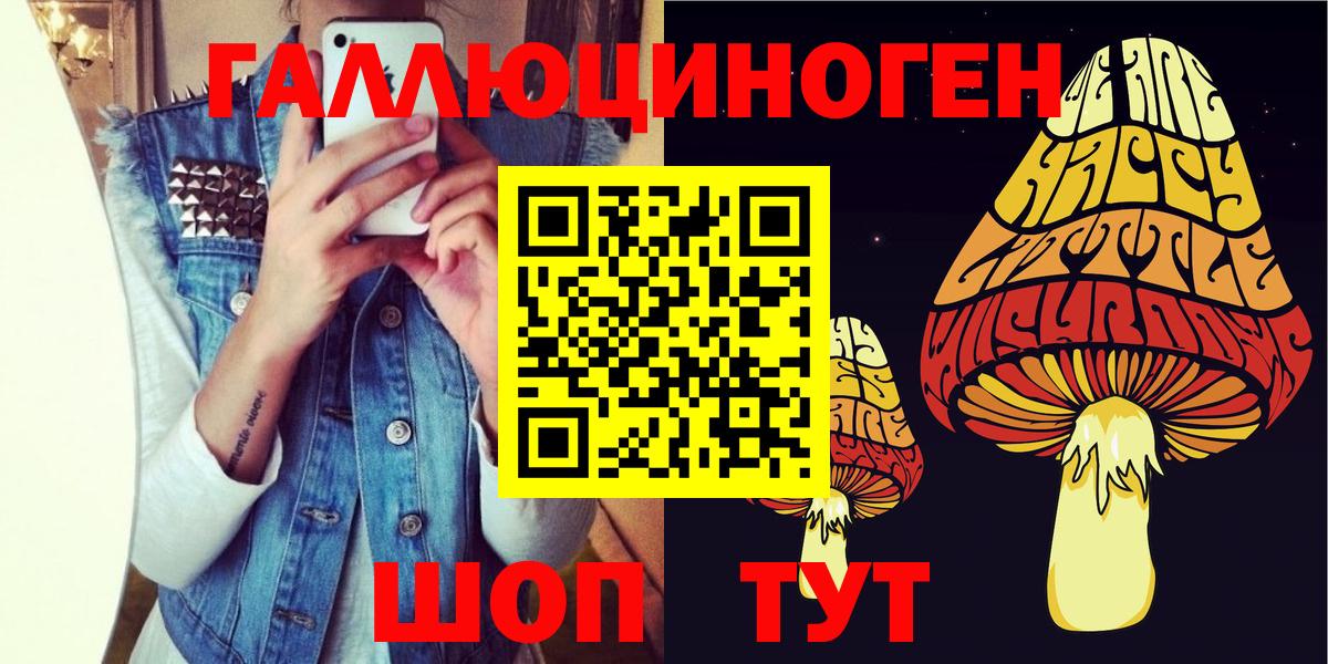 Псилоцибиновые грибы MAGIC MUSHROOMS  Псилоцибиновые грибы Magic Shrooms  Азов  Вход с VPN 