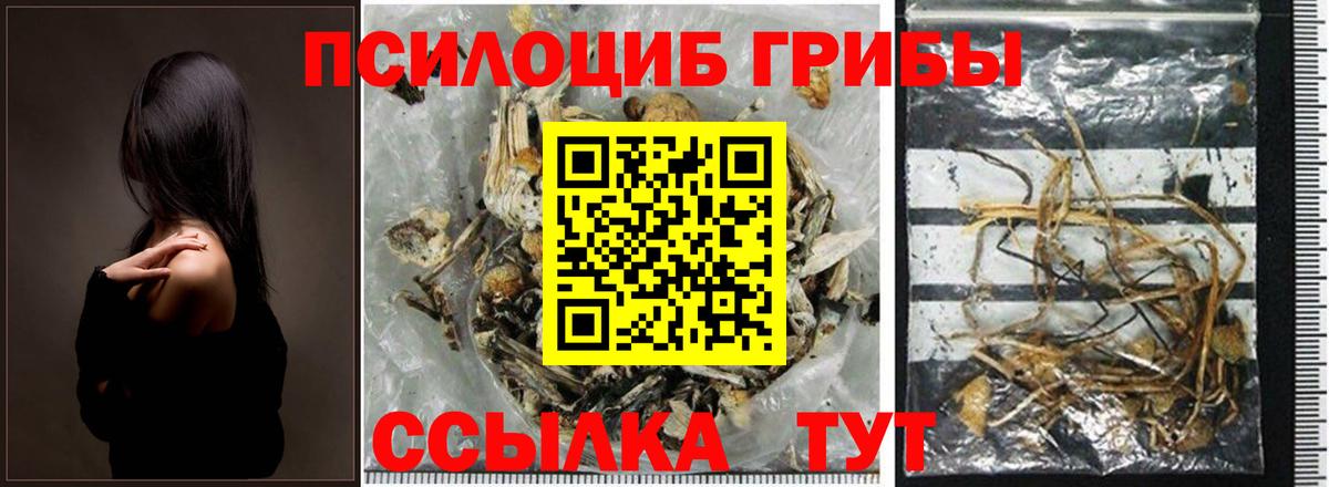 Псилоцибиновые грибы MAGIC MUSHROOMS Азов